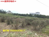 桃園市龍潭區富華街三林段美建地建地 桃園市龍潭區富華街三林段美建地建地